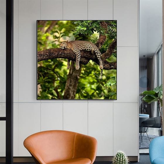 Cheetah napping canvas