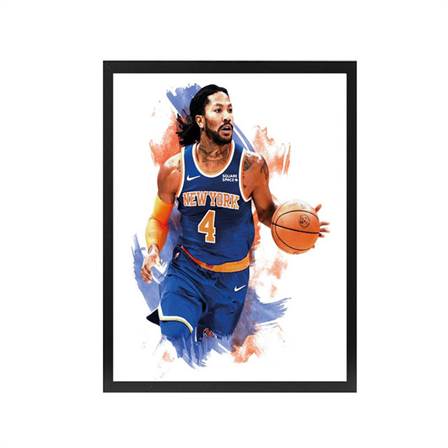 Derrick Rose canvas