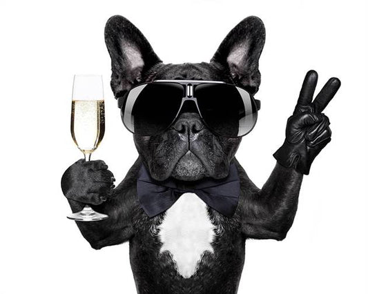 Dog with a champagne glass canvas