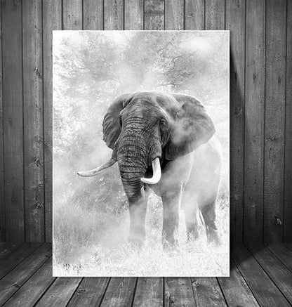 Wild Elephant canvas