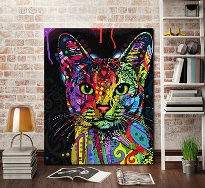Colorful cat canvas