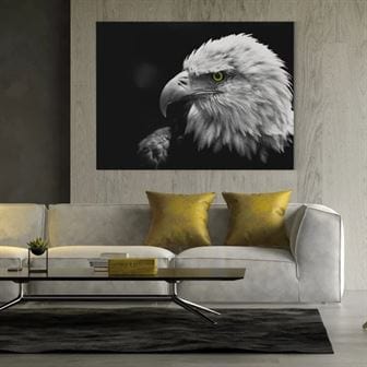 Eagle canvas