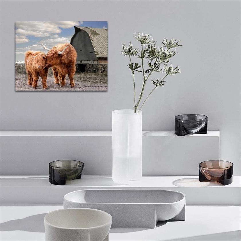 Highland cattle canvas