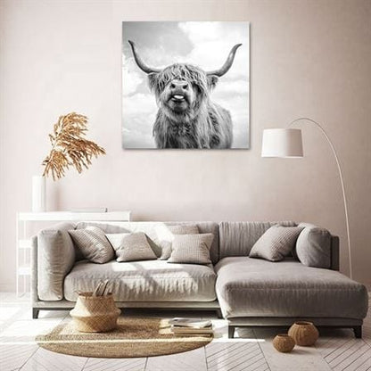 Highland cow canvas