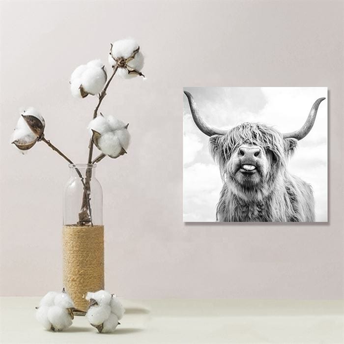 Highland cow canvas