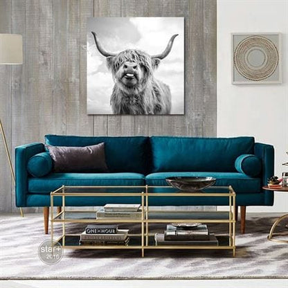 Highland cow canvas