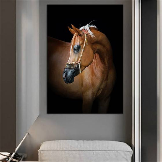 Lovely horse canvas