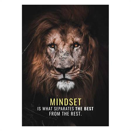 Mindset is what separates the best from the rest canvas