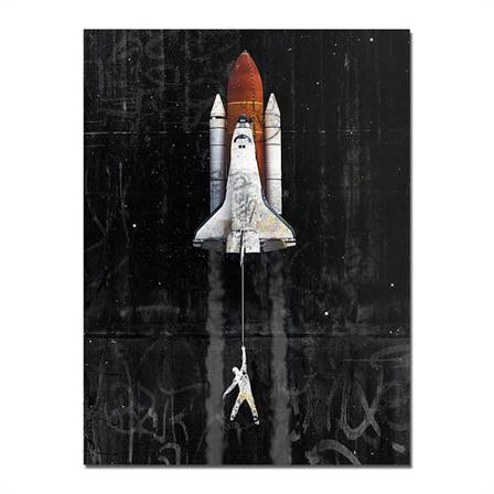 Space shuttle canvas