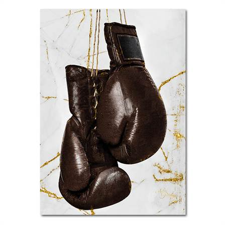 Vintage boxing gloves canvas